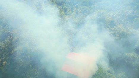 Krematorien,-Denen-Das-Holz-Im-Walddrohnenblick-Ausgeht