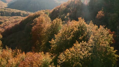 Hermosa-Toma-De-Seguimiento-De-Drones-Aéreos-Siguiendo-A-Un-Camión-En-Una-Carretera-Escénica-Que-Serpentea-En-Un-Bosque-De-Colores-Otoñales