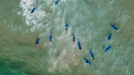 a aerial view of a group of people learning to surf at the beach