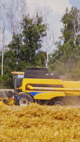 combine harvester working in a wheat field
