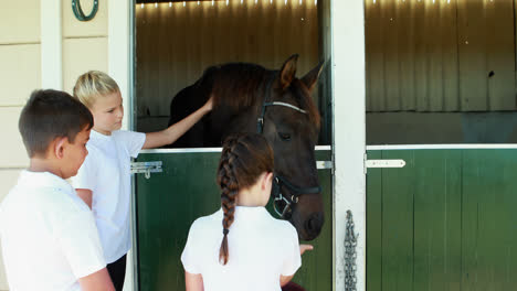 kids stroking horse in stable 4k