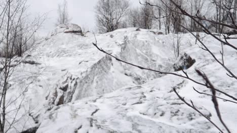 closeup-of-branches-with-snowy-rocky-hill-in-background,-truck-left,-then-focus-on-background