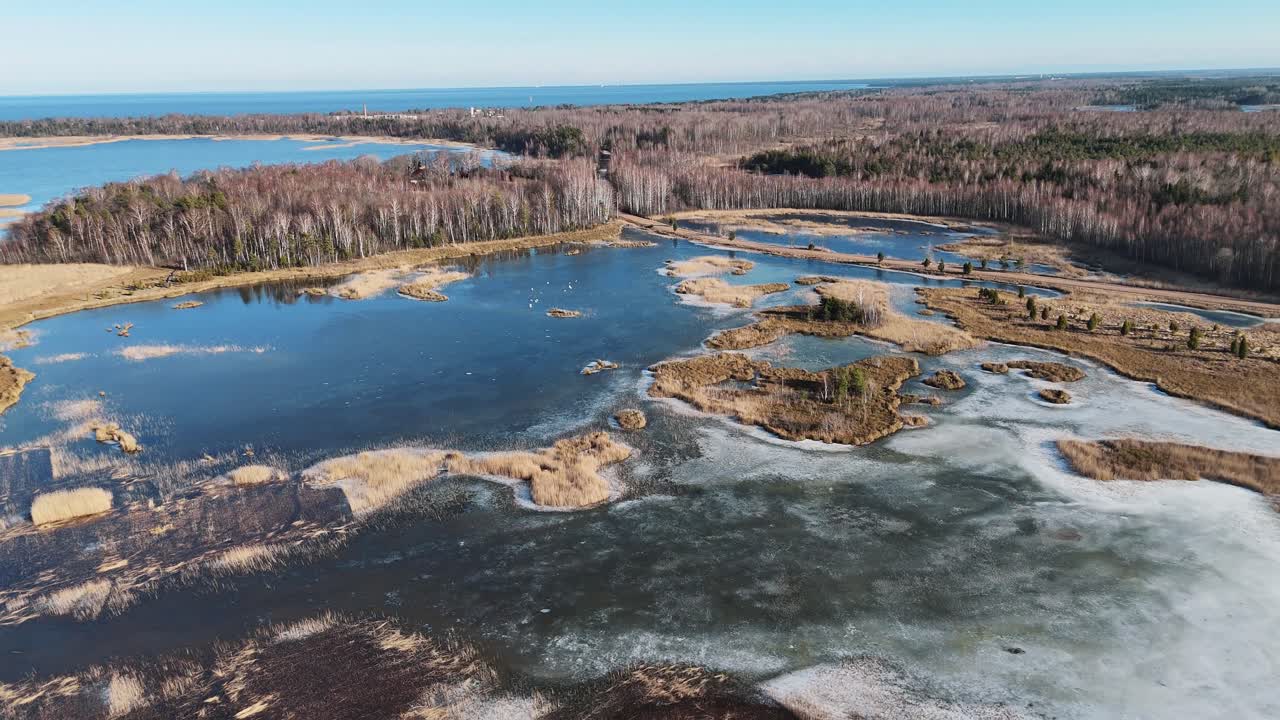 sendero de tablas de madera a través del lago kaniera cañas disparo aéreo de primavera lapmezciems, letonia