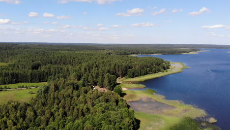 aerial: flying above green scenic forest with magneficient blue lake besides