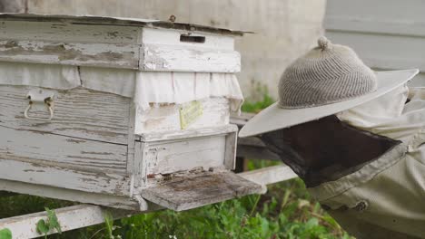 Apiary-and-beekeeper.