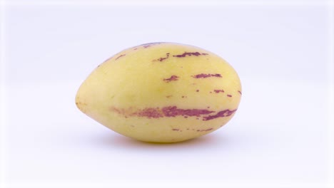 one whole mature yellow pepino fruit is rotating on the turntable isolated on the white background. close-up. macro.