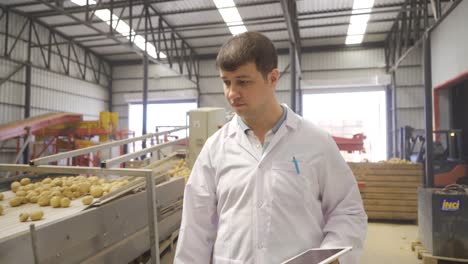 Potato-Harvest.-Sorting-Potatoes.-Farmer-Examines-The-Quality-Of-Potato-Crop.