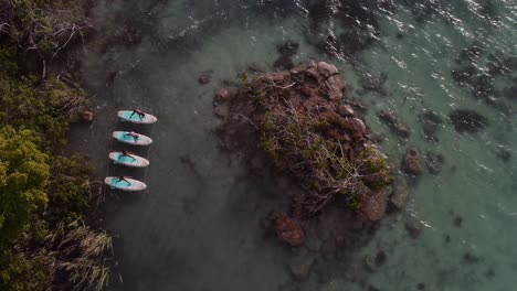 cuatro mujeres en traje de baño se estiran y practican yoga en tablas de remo en las aguas turquesas de la laguna de las 7 colores de bacalar en quintana roo méxico