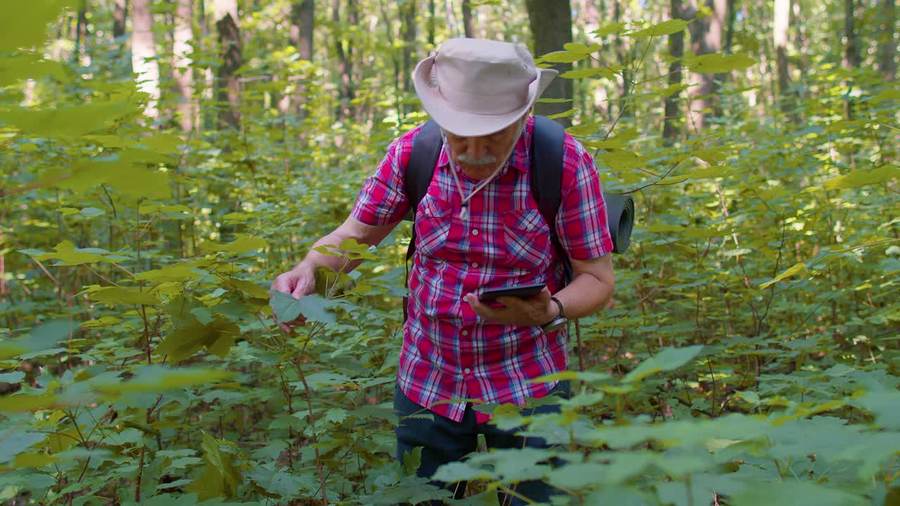 hombre mayor caminando en el bosque, usando una tableta