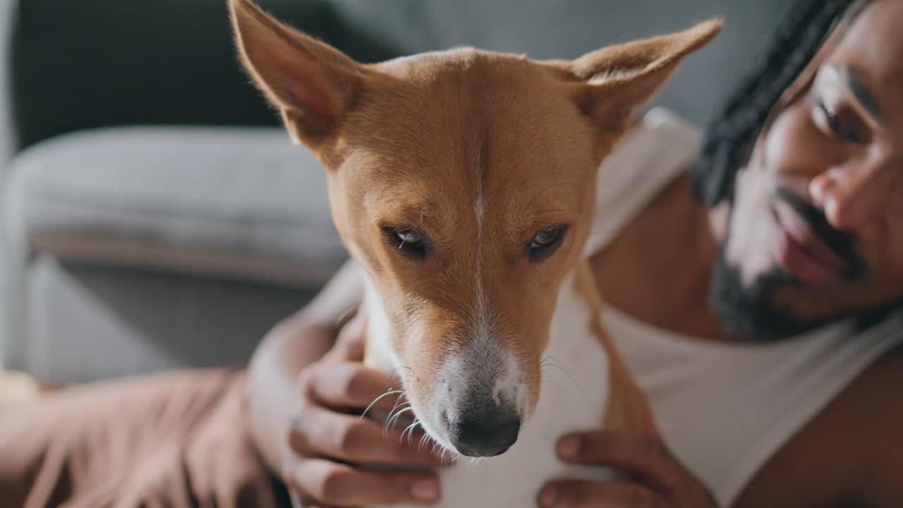 dueño de perro sonriente posando retrato de cámara. hombre de dreadlocks acariciando mascota en casa
