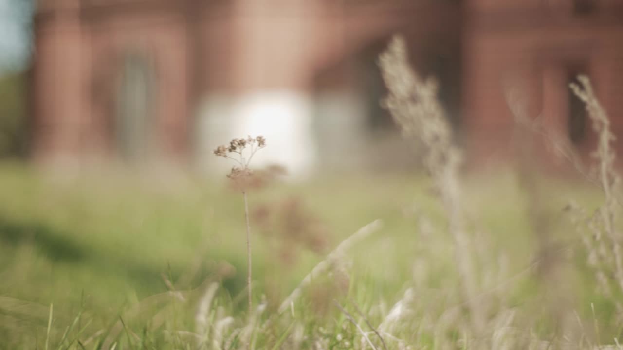 풀 에 있는 버려진 건물