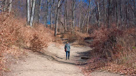 woman walking on the woods