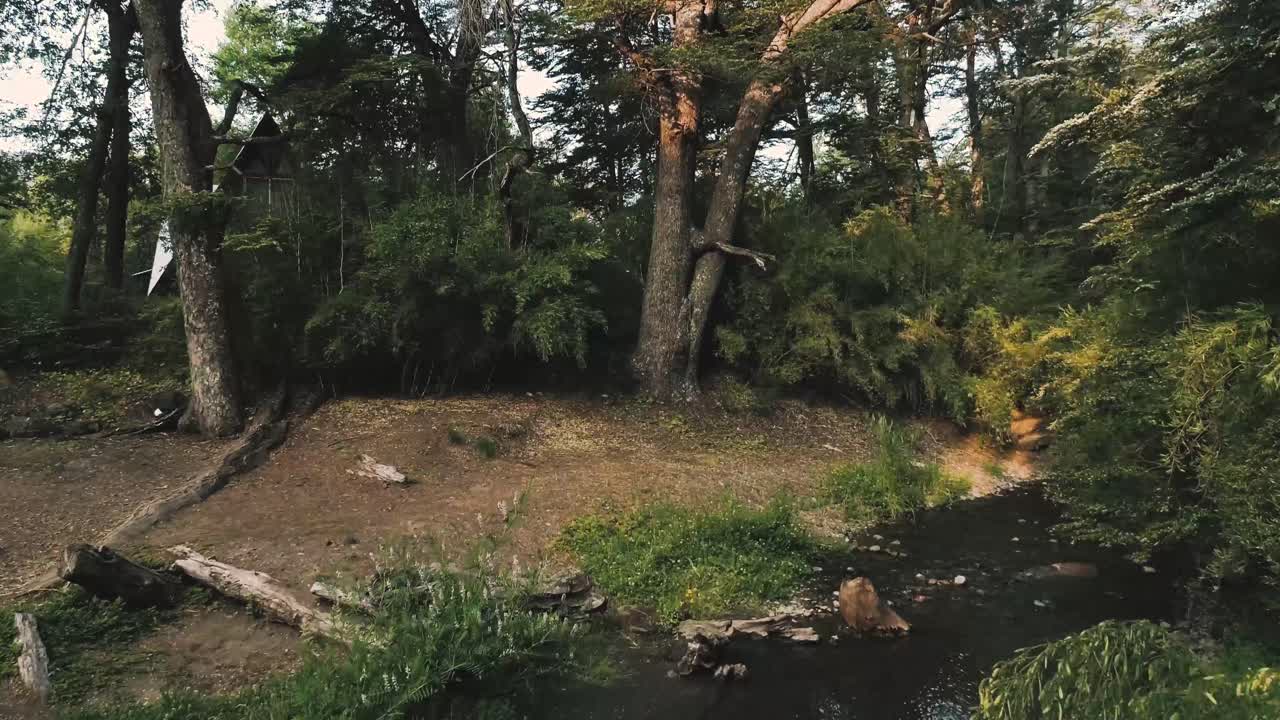 flujo de un río en la montaña de los andes alrededor del valle de las trancas cerca de las aguas termales de chillan en chile, paisaje muy verde con mucha naturaleza alrededor