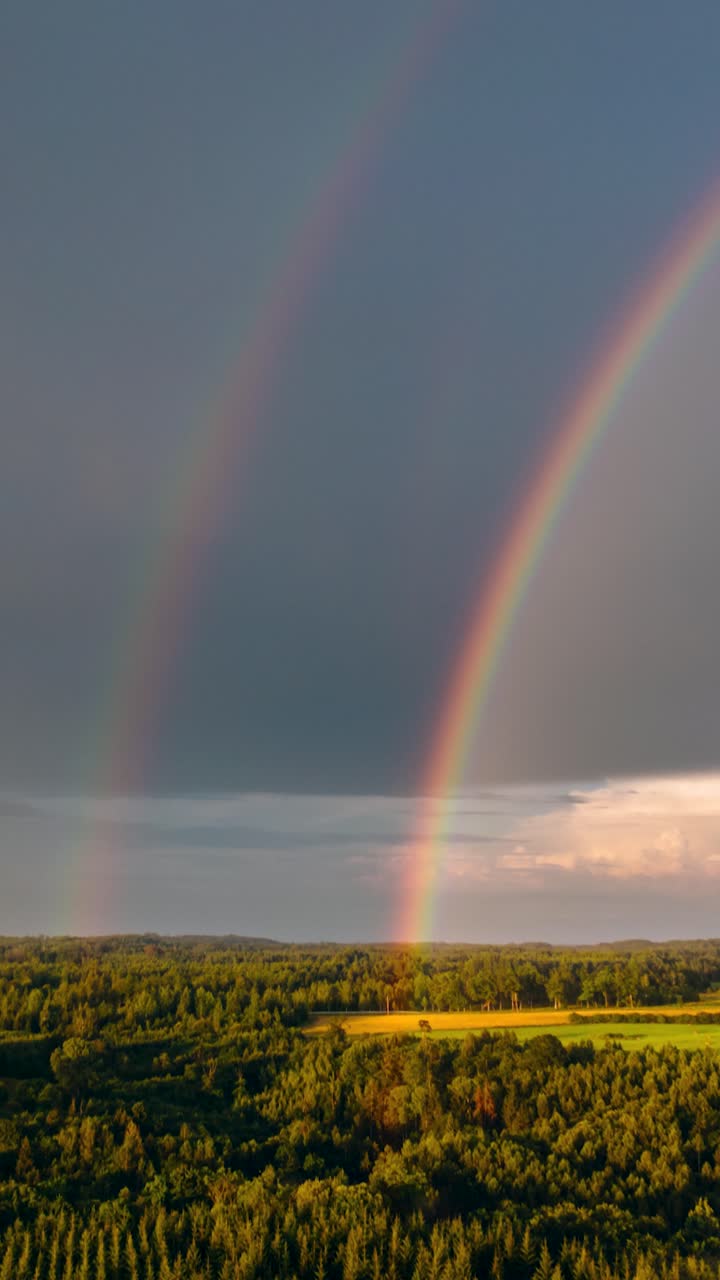 Vertical aerial drone shot of Rainbow above forest. Storm clouds moving.