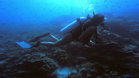 explorando las profundidades del océano