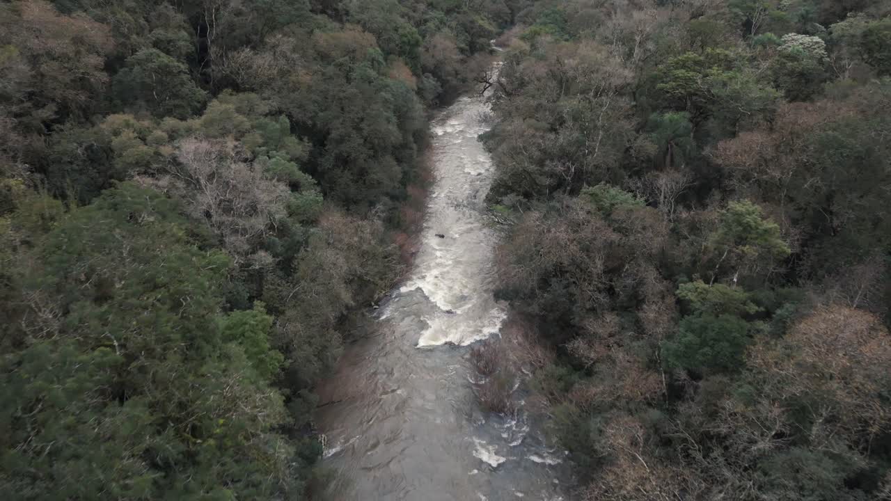 Vista aérea avançando sobre um pequeno mas muito forte rio de pedras no meio de uma selva densa.