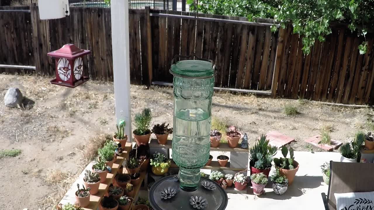 Humming bird flying from top left in reduced speed to feed