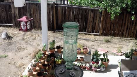 humming bird flying from top left in reduced speed to feed