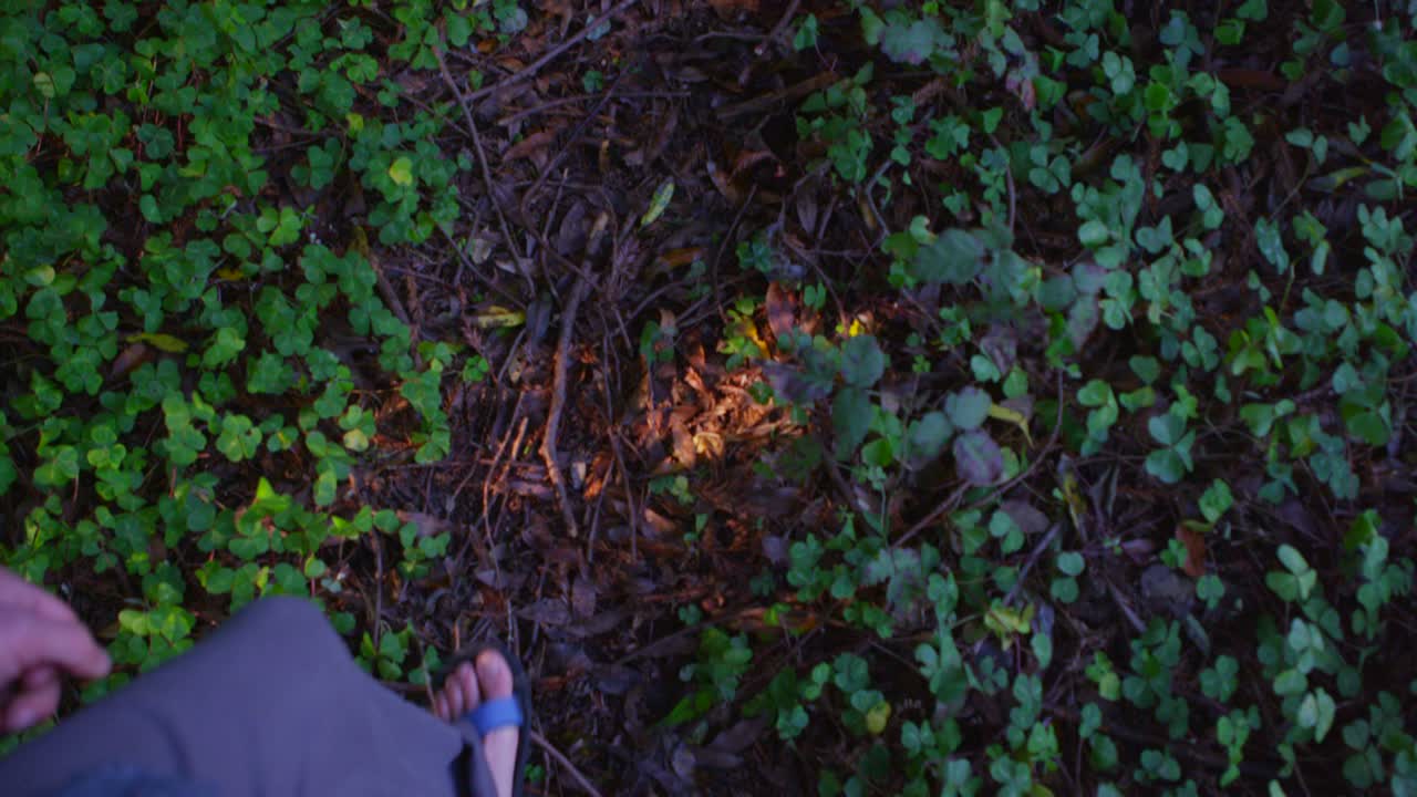 森の中の小道を歩いている足のハイアングルショット