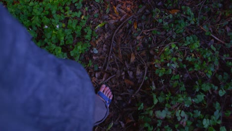 High-angle-shot-of-feet-walking-along-a-path-in-a-forest