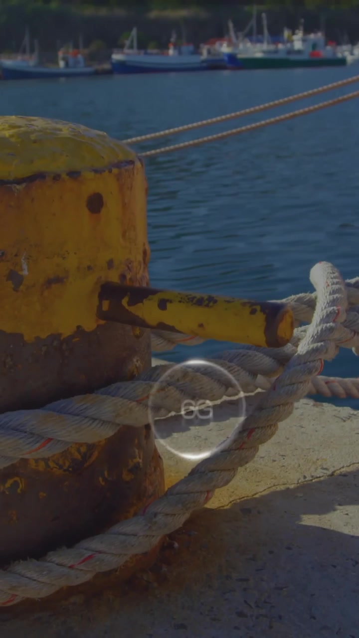 Animazione di 6G sul porto