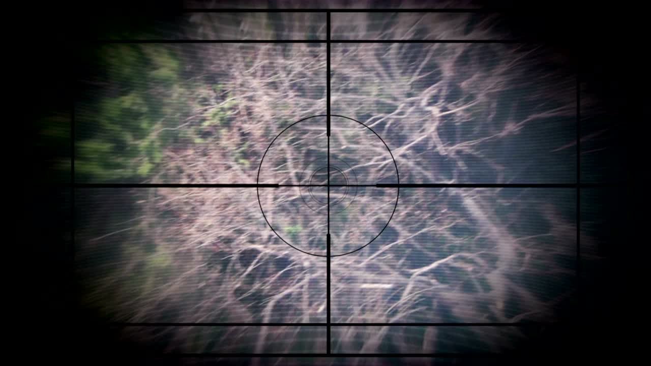 alcance de francotirador, volando en el bosque