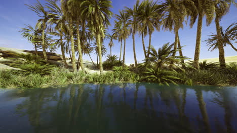 palm trees surround a serene oasis in a desert landscape under clear skies
