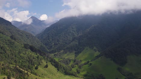 beautiful wilderness landscape in colombia, cocora valley, aerial establisher