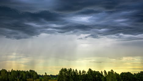 Düstere-Wolkenlandschaft,-Die-über-Dichte-Baumwipfel-Zieht.-Zeitraffer