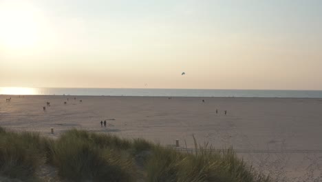 cinematic drone - aerial shot of the green and sandy nature beach with tourists and people with buggykiting at zeeland at the north sea, netherlands, 30p