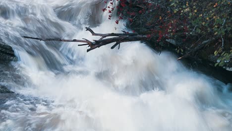 a powerful torrent of whitewater rushes in a narrow riverbed