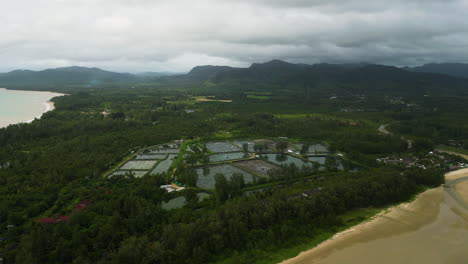 Antena-Alrededor-De-Una-Granja-De-Estanques-De-Camarones-En-Khao-Lak,-Tailandia