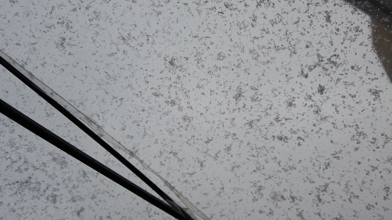 Snø og paraply, vinteropptak