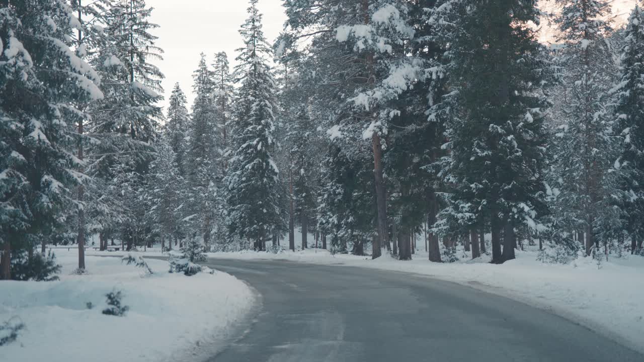 A narrow asphalt road snakes through a quiet pine forest, lightly coated with snow in a calm winter scene.