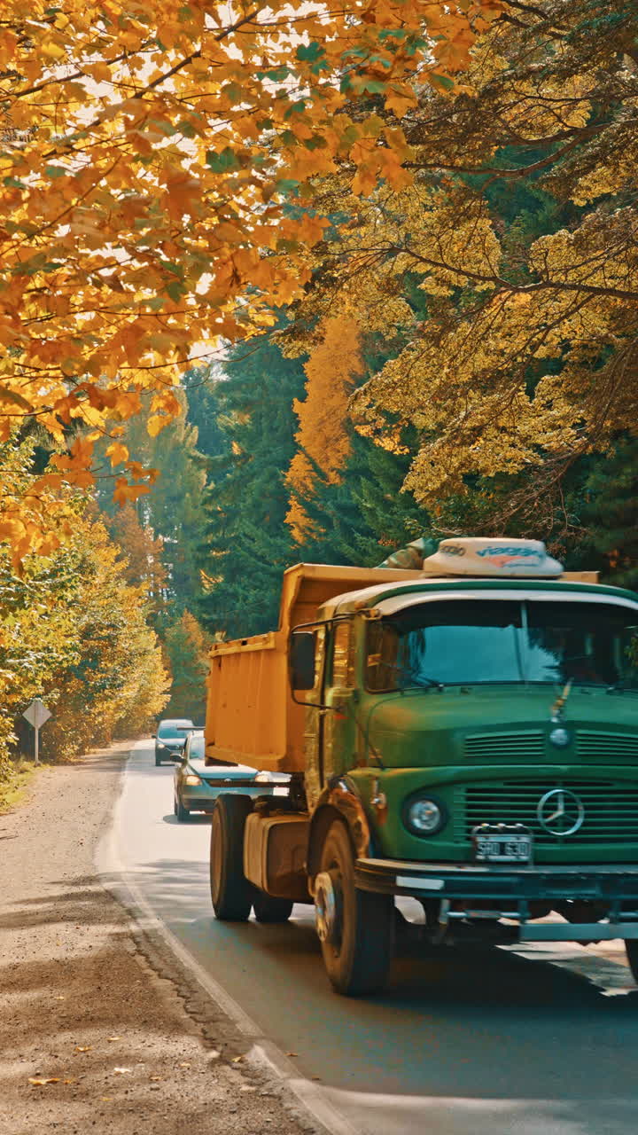 Autos fahren auf einer malerischen Straße durch einen Herbstwald.