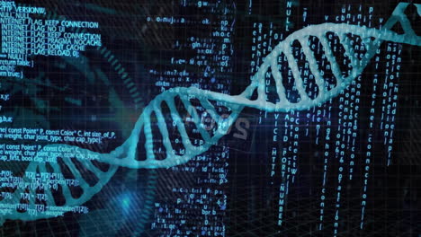 dna strand and binary coding, scientific data processing animation