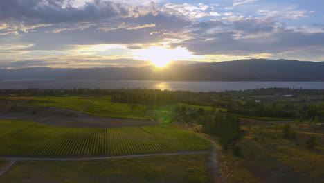 aerial view flying over winery fields in kelowna as the sun sets across the river over the mountains