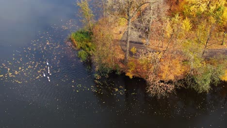 Luftaufnahme-Des-Schönen,-Glatten-Grünen-Wassers-Eines-Sees-An-Einem-Sonnigen-Herbsttag