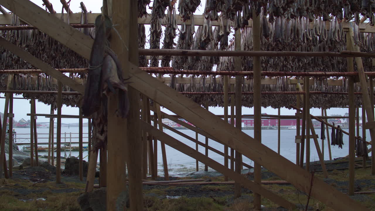 кинематографическая съемка со стороны на фоне стеллажей с рыбой в рейне, норвегия