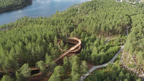 panorama of an accessible treetop walkway winding through pine forest in hamaren activity park, fyresdal, norway