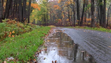 Regentropfen-Auf-Der-Straße-Im-Herbst