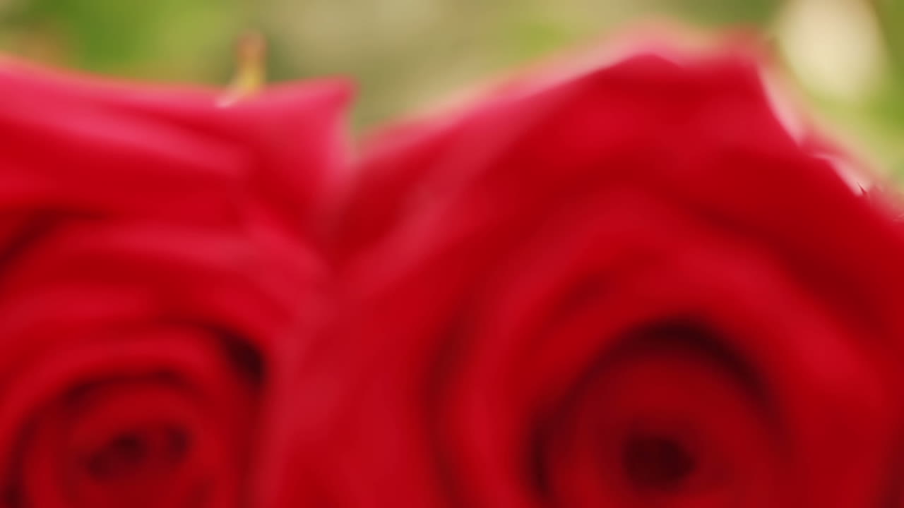 두 개의 은 장미