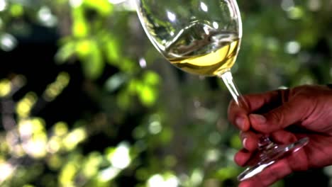 vino blanco en una copa de cristal con un jardín verde al fondo-1
