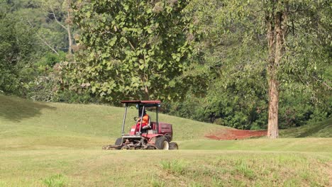 tractor mowing grass in a sunny, green park.