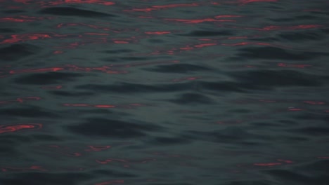 Reflections on the water of the sunset during golden hour