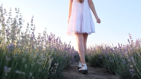 Woman in white dress walking through lavender field