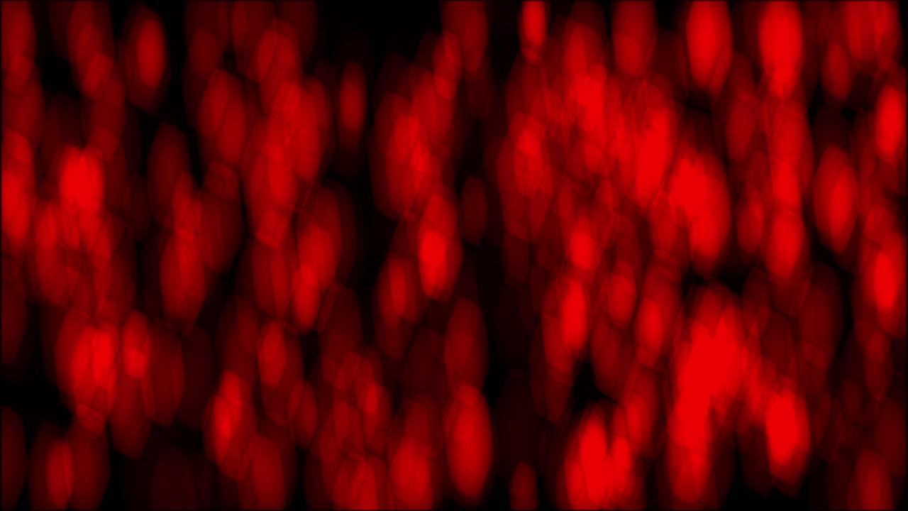 은 보케를 펴고 회전시키는 애니메이션