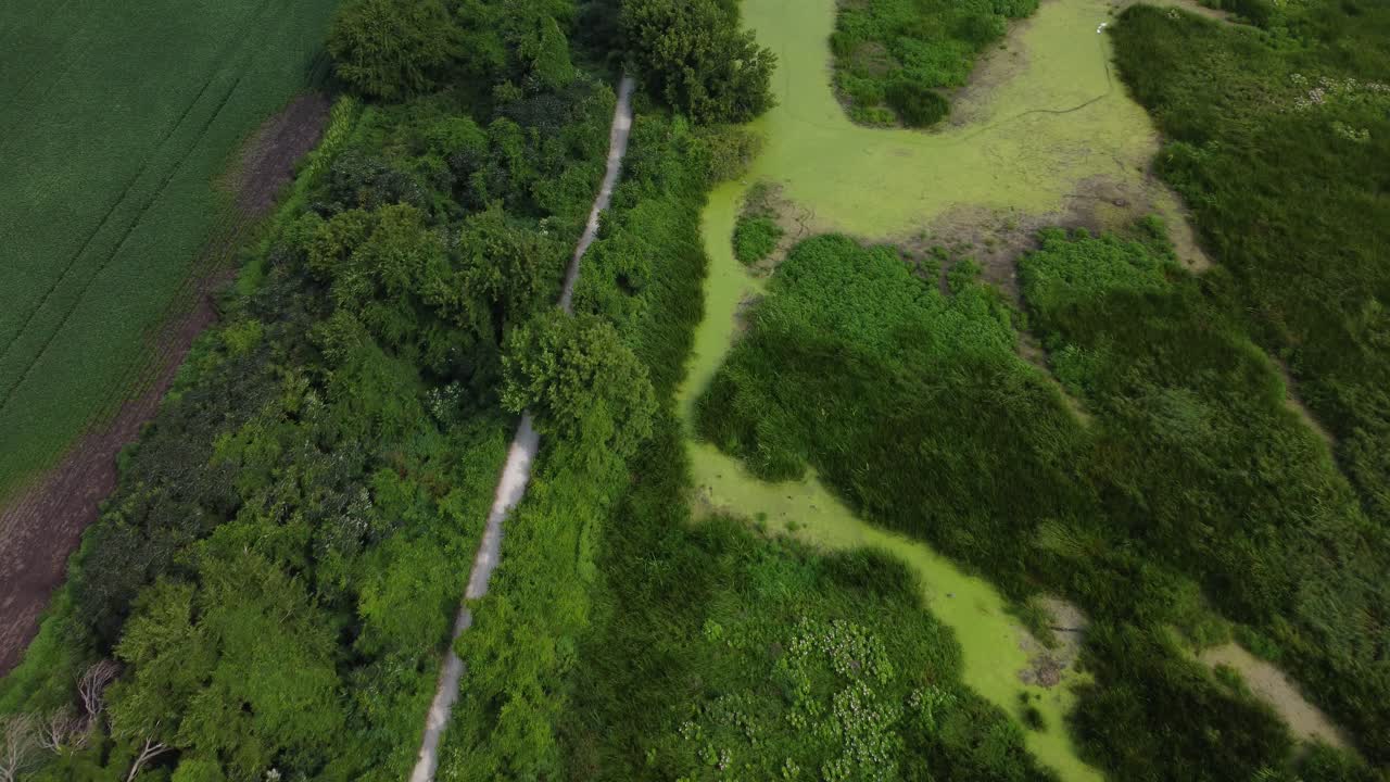 Serene freshwater marsh surrounded by forest and open fields