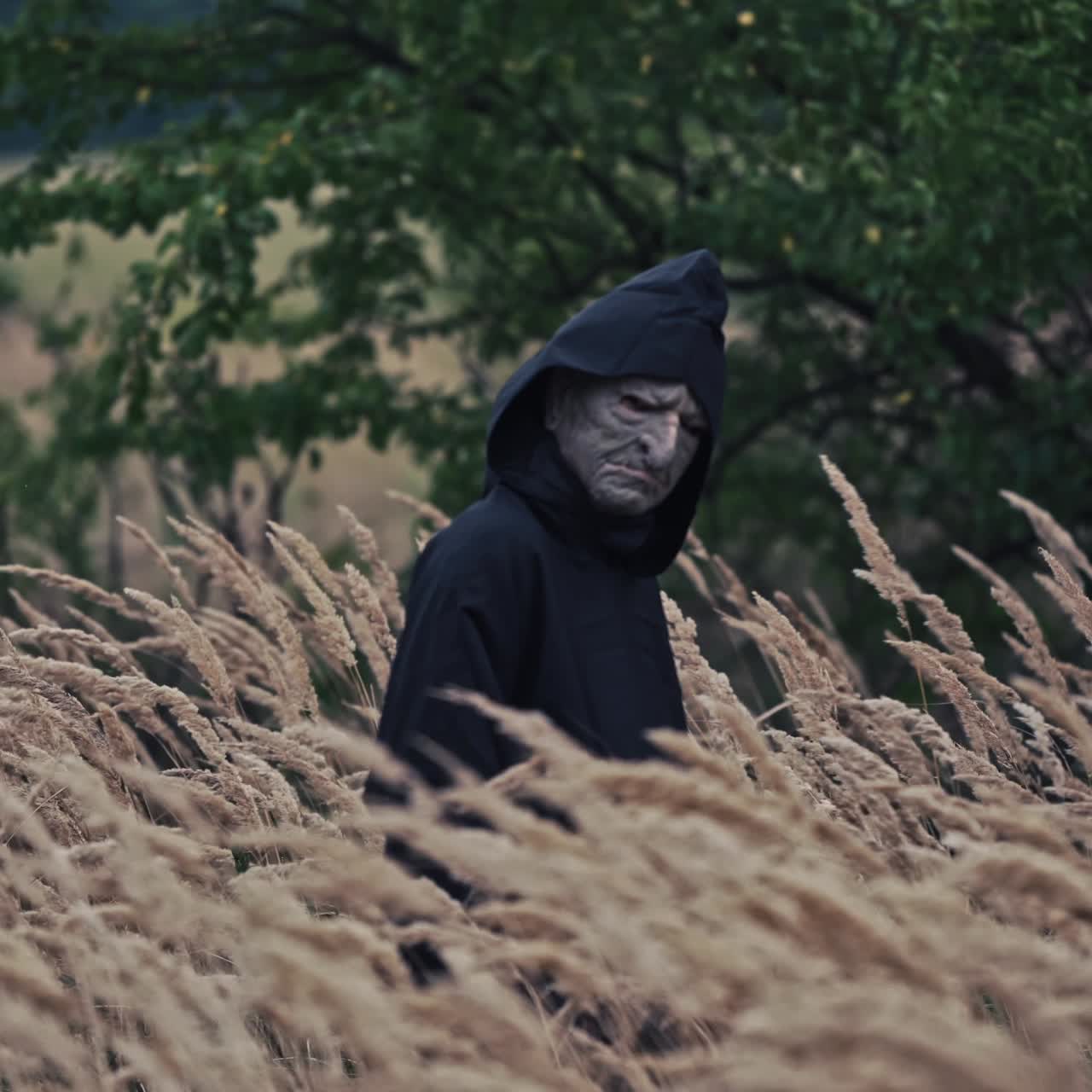 Dark ghost in black cloak with hood among nature. Wheat field and scary witch walks and looks on camera. Horror and Halloween concept.