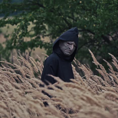 dark ghost in black cloak with hood among nature. wheat field and scary witch walks and looks on camera. horror and halloween concept.